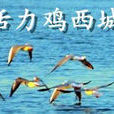 雞西吧 雞西吧