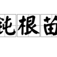 鈍根苗 鈍根苗