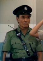 新紮師兄續集(新紮師兄（1985年梁朝偉主演TVB電視劇）)