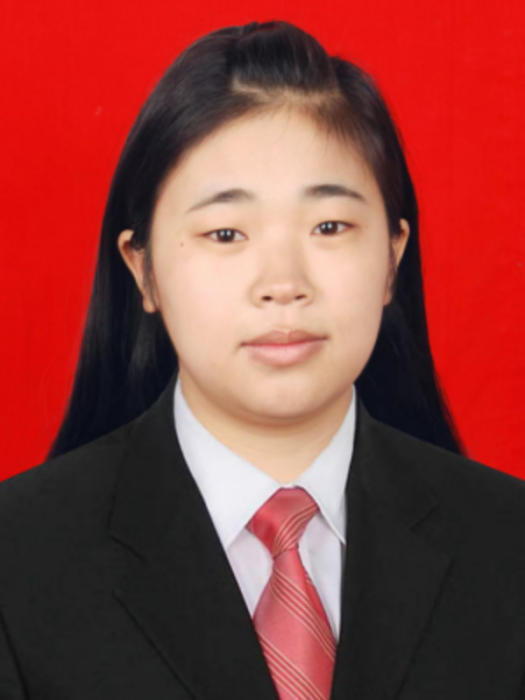 李珍(湖南省懷化市會同縣自然資源局總工程師) 李珍(湖南省懷化市會同縣自然資源局總工程師)
