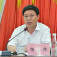 楊小林(河南理工大學校長) 楊小林(河南理工大學校長)
