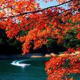 紅葉森林公園 紅葉森林公園