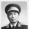 楊漢林 楊漢林