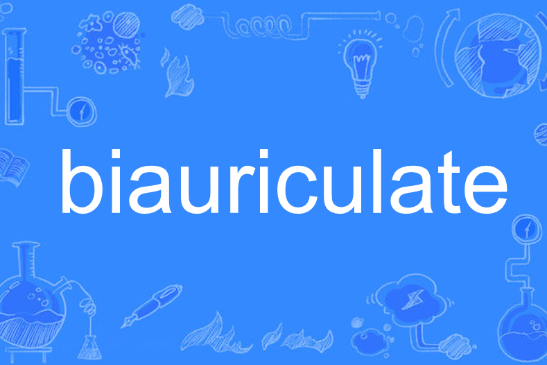 biauriculate