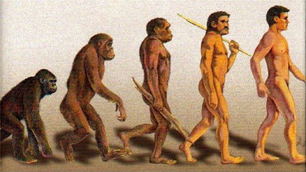 人類祖先