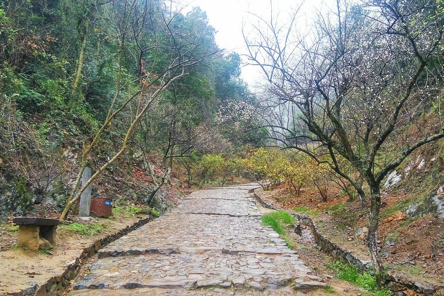 梅硿古道 梅硿古道
