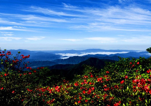 大圍山景區