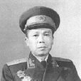 向鎮華 向鎮華