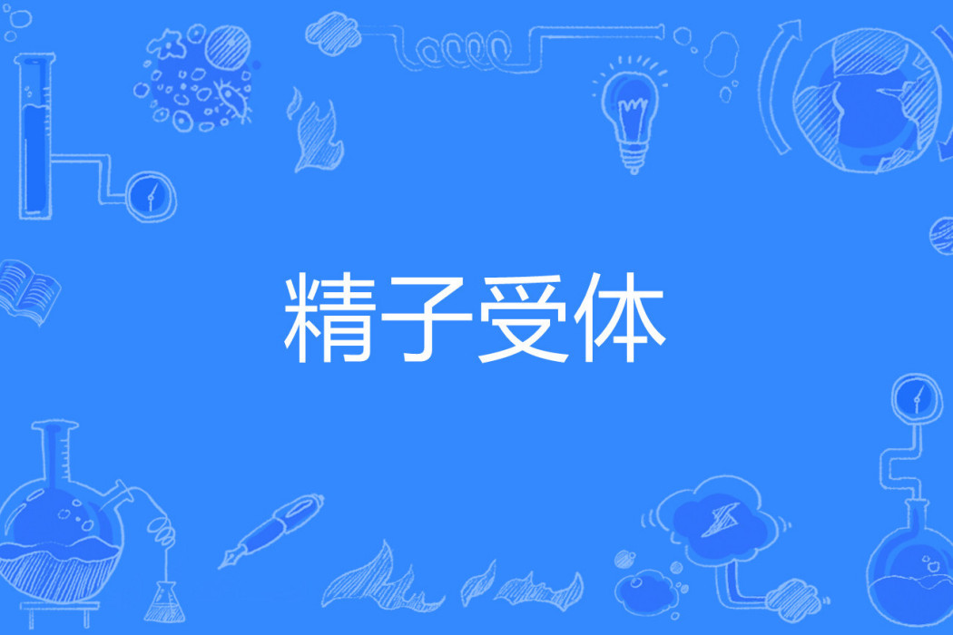 精子受體 精子受體