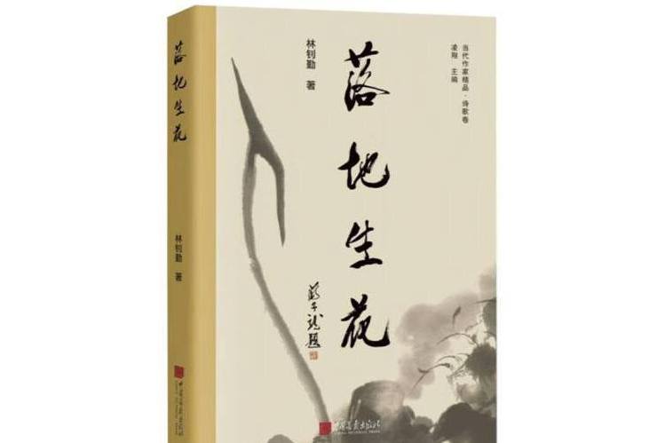 落地生花(2024年中國畫報出版社出版的圖書) 落地生花(2024年中國畫報出版社出版的圖書)
