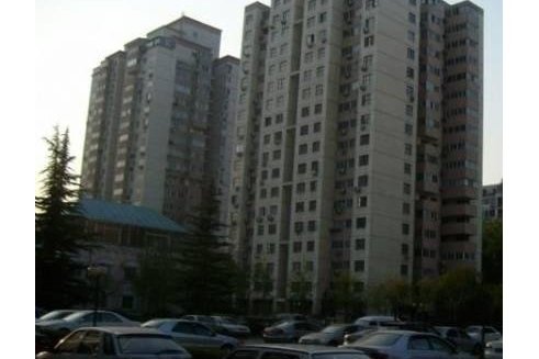 乾楊樹 乾楊樹