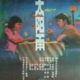 太陽雨(1988年張澤鳴執導電影) 太陽雨(1988年張澤鳴執導電影)