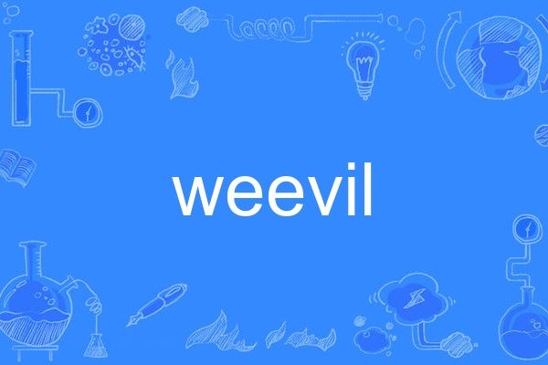 weevil weevil