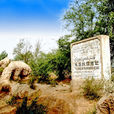 龜茲故城遺址(龜茲古城遺址) 龜茲故城遺址(龜茲古城遺址)