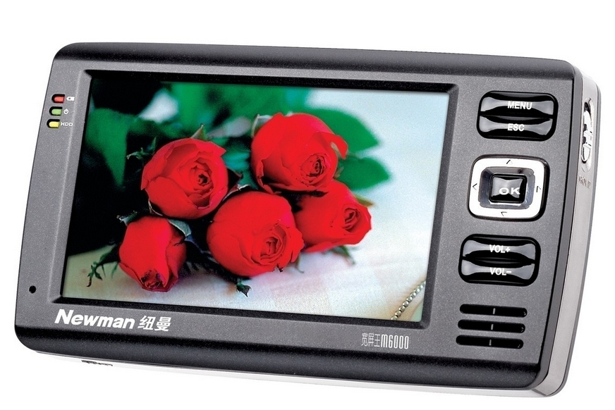 紐曼M6000(120GB)