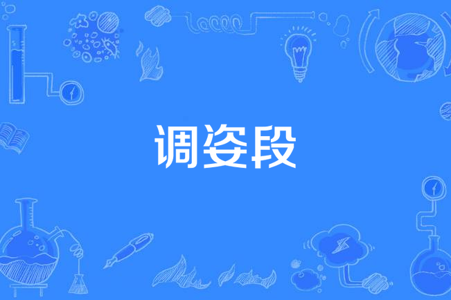 調姿段
