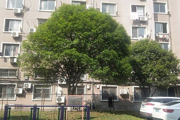 金城公寓(成都市金城公寓小區) 金城公寓(成都市金城公寓小區)