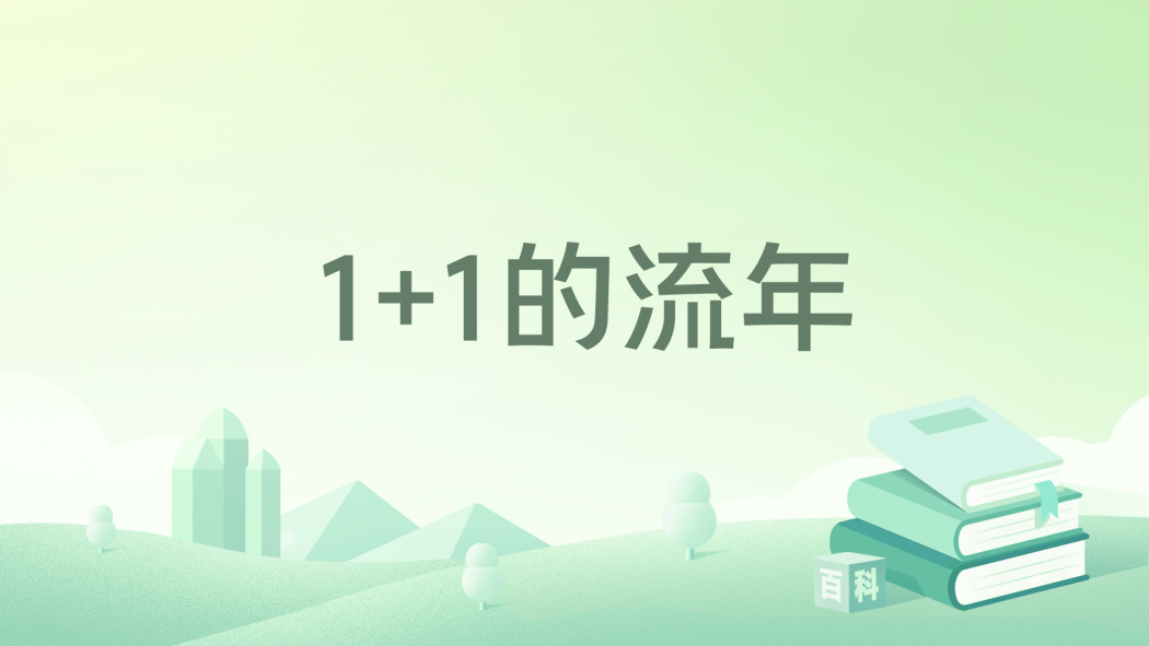 1+1的流年 1+1的流年