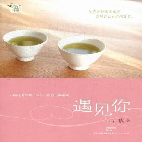 遇見你(2012年上海人民出版社出版的圖書) 遇見你(2012年上海人民出版社出版的圖書)