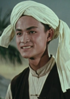 五朵金花(1959年王家乙執導電影) 五朵金花(1959年王家乙執導電影)