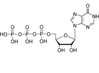 肌苷三磷酸