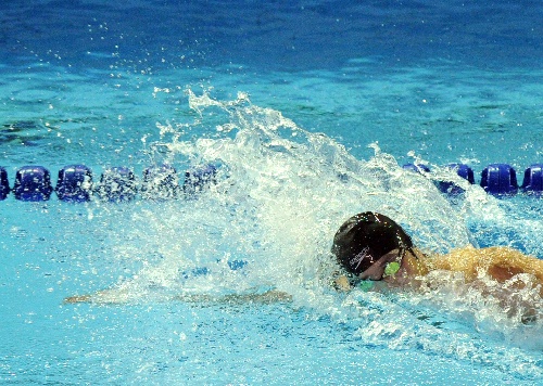 全國游泳冠軍賽男4X200自 鐘秋實在比賽