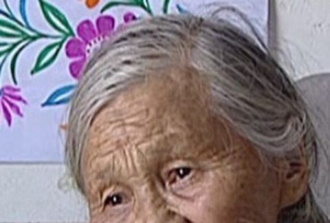 夢想之花(中國2014年陸堯主演的微電影) 夢想之花(中國2014年陸堯主演的微電影)