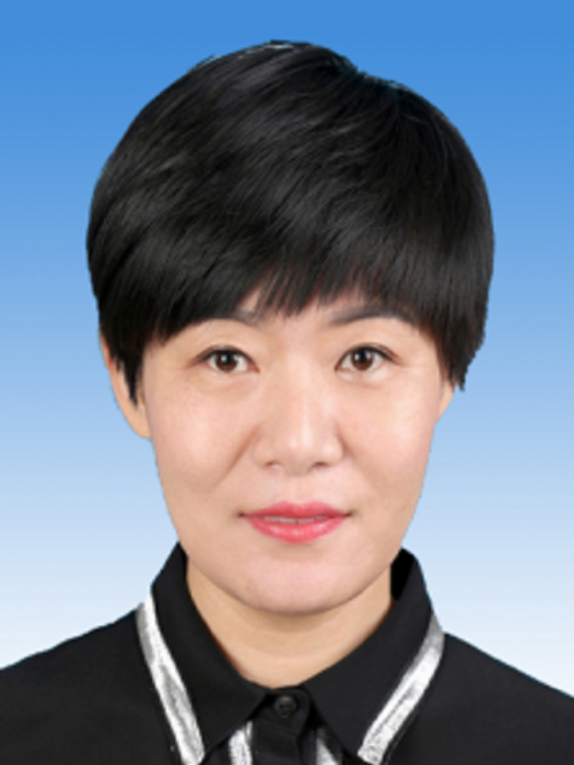賈宏偉(天津市北辰區人民政府副區長) 賈宏偉(天津市北辰區人民政府副區長)
