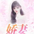 嬌妻(coco創作的現代言情類網路小說) 嬌妻(coco創作的現代言情類網路小說)