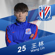 王林(足球運動員) 王林(足球運動員)