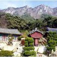 神魚山 神魚山