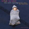 What to Knit When You\x27re Expecting(Van De Car, Nikki; Richardson, Claire;著圖書) What to Knit When You\x27re Expecting(Van De Car, Nikki; Richardson, Claire;著圖書)