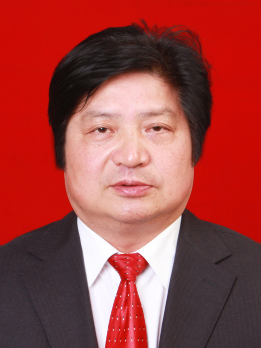 劉洪波(湖南省長沙銅官窯遺址管理處黨組書記、主任) 劉洪波(湖南省長沙銅官窯遺址管理處黨組書記、主任)
