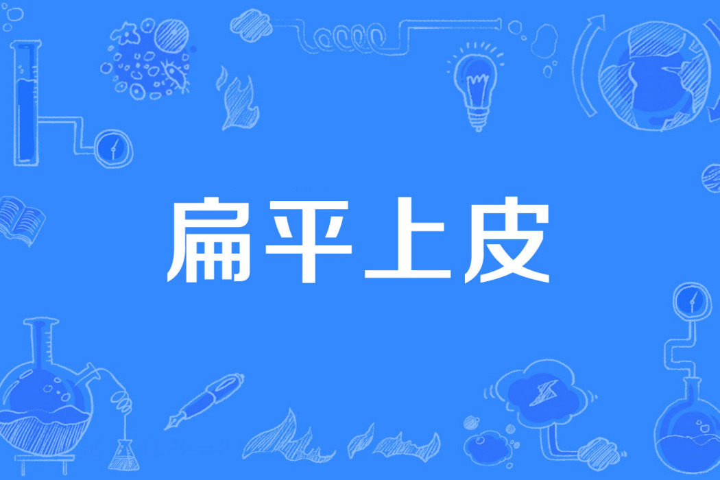 扁平上皮 扁平上皮