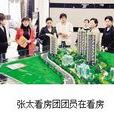 張太購房團 張太購房團