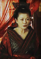 母儀天下(2008年黃健中執導電視劇)