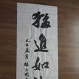 猛進如潮 猛進如潮