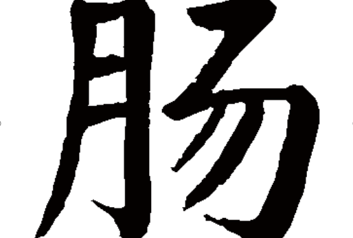 腸(漢語漢字) 腸(漢語漢字)