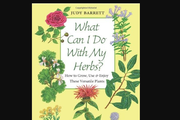 What Can I Do with My Herbs? What Can I Do with My Herbs?