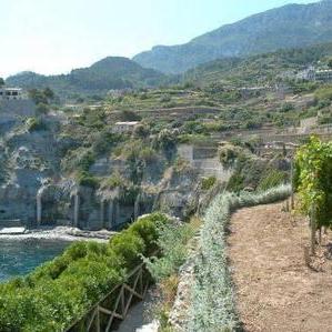 Holiday home Calle des Moli