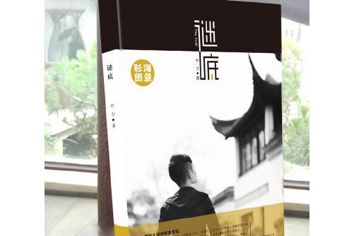 謎底(2017年江蘇鳳凰文藝出版社出版的圖書) 謎底(2017年江蘇鳳凰文藝出版社出版的圖書)