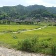 沙壩村(雲南省保山市騰衝市騰越鎮下轄村)
