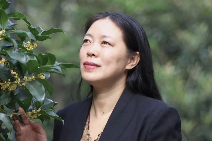 張金玫 張金玫