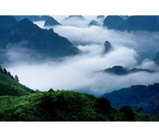 海南壩王嶺國家級自然保護區