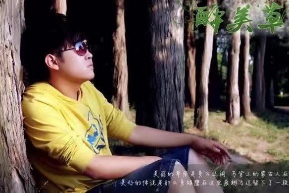 醉美草原(塔宏偉演唱的歌曲) 醉美草原(塔宏偉演唱的歌曲)