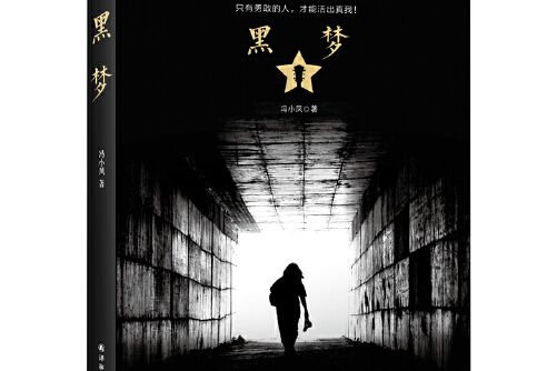 黑夢(2017年6月譯林出版社出版的書籍) 黑夢(2017年6月譯林出版社出版的書籍)
