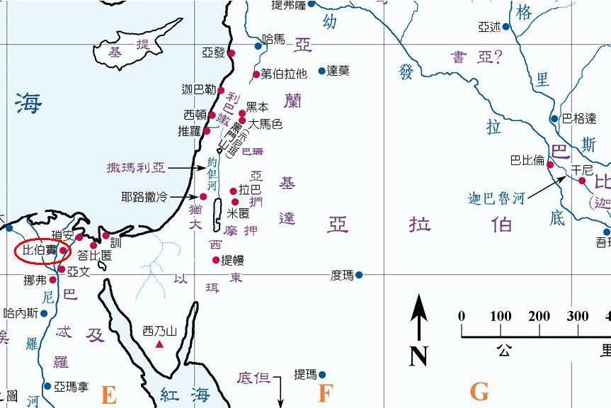 比伯實 比伯實