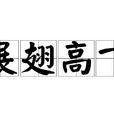 展翅高飛(成語) 展翅高飛(成語)