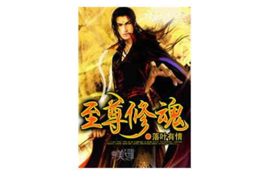 至尊修魂 至尊修魂