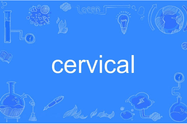 cervical cervical